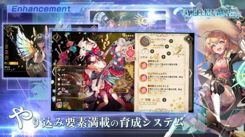ANGELICA ASTER R(アンジェリカアスター) の育成と強化のおすすめ